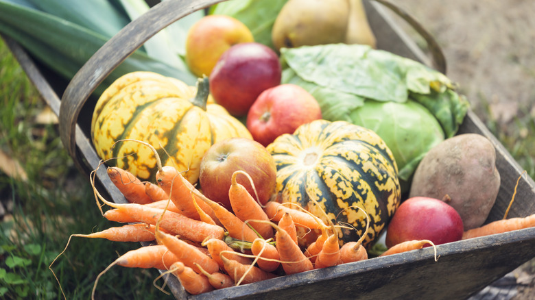 freshly harvested produce