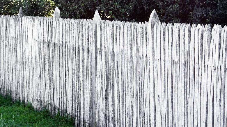 whitewashed backyard fence