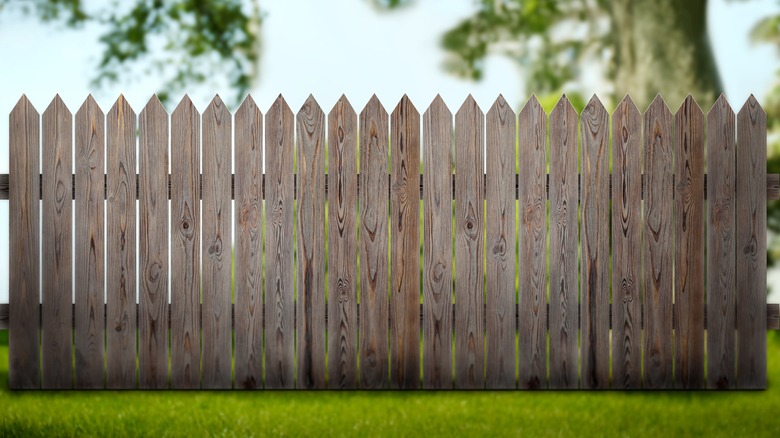 wooden backyard fence