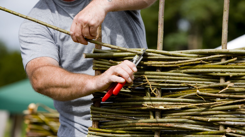 person creating a wattle fence