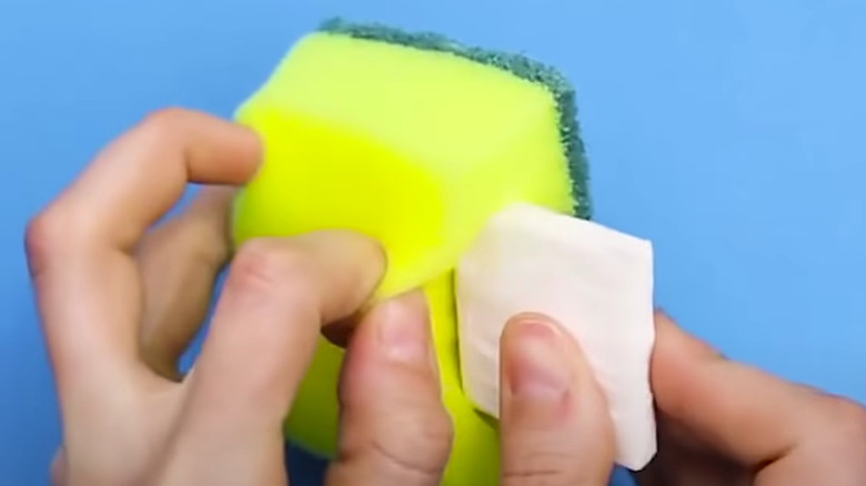 soap in kitchen sponge