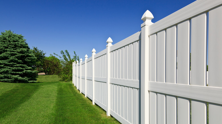 white vinyl fence