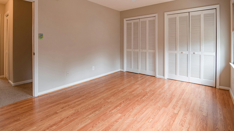 Unfurnished built in bedroom closet with white louver doors, hardwood floors, and gray walls