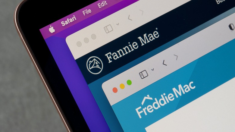 Fannie Mae/Freddie Mac computer tabs
