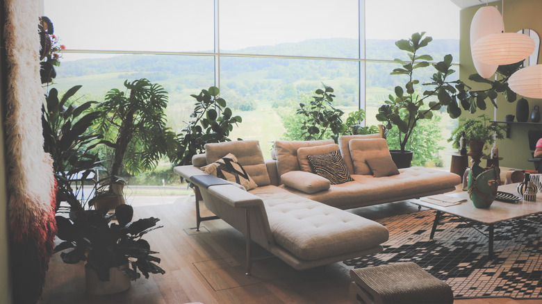 Lush greenery surrounds a beige couch