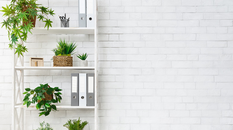 white shelves with planter basket