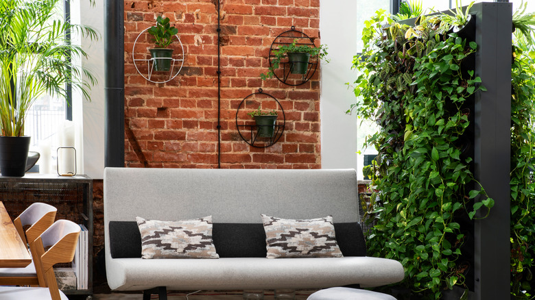 accent brick wall with greenery