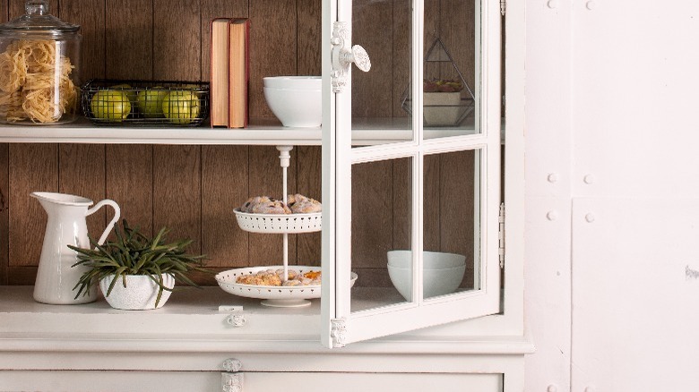 green plants in china cabinet