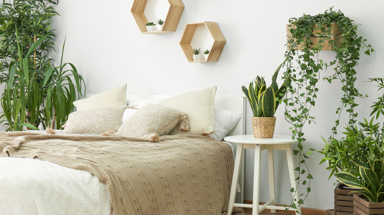 bedroom surrounded with potted plants