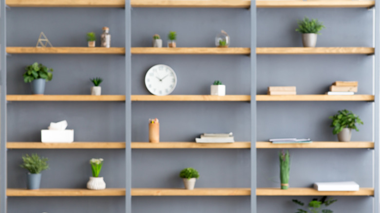 Shelves with plants and books