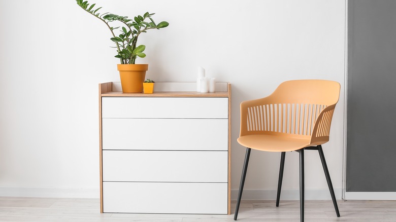 white minimalist dresser with zz plant