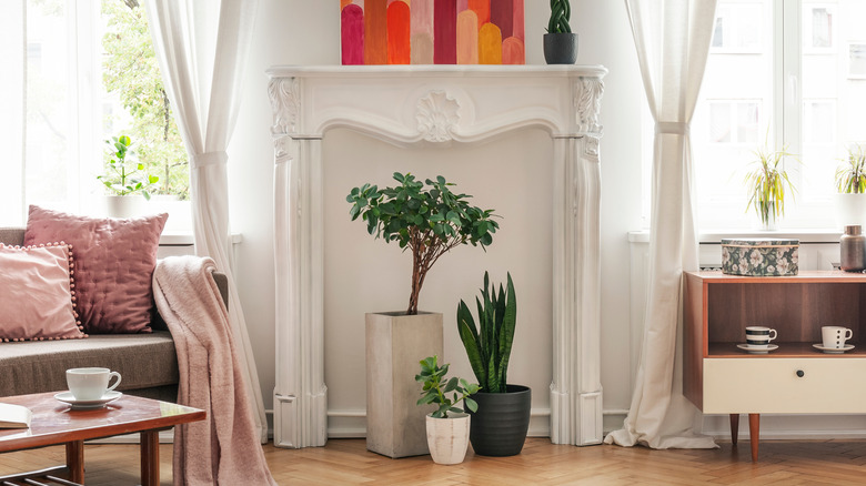 white fireplace hearth with plants