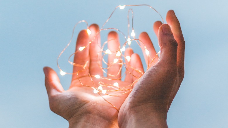 person holding string lights