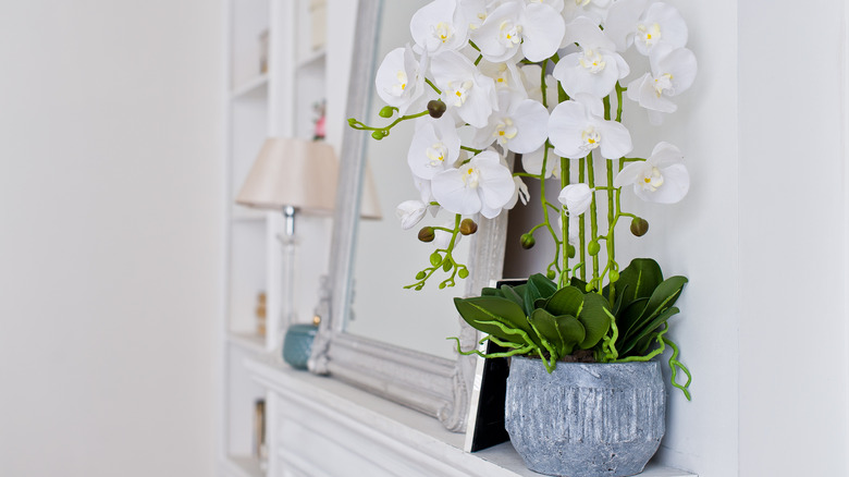 white orchids on fireplace mantel