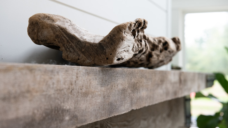 piece of driftwood on a mantel