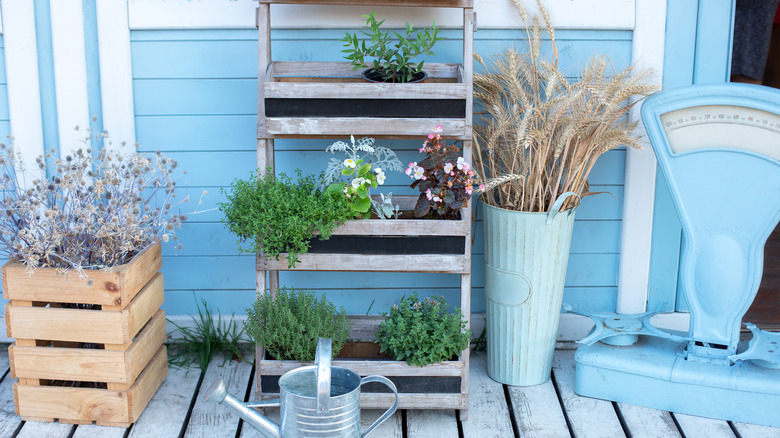 flowers and plants on porch