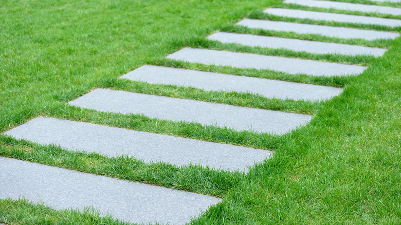 stone slab pathway in grass