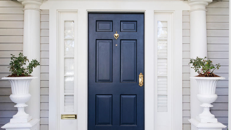 navy front door white house