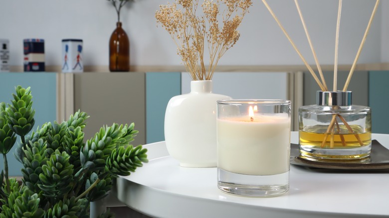 Room with a candle, a plant and a diffuser