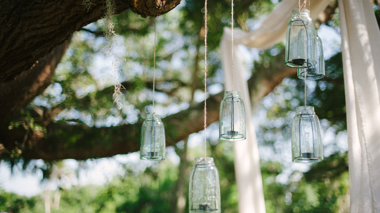 glass lanterns hang from tree