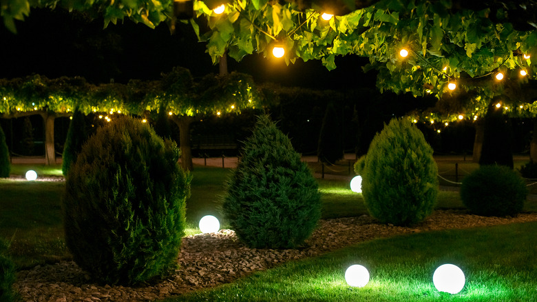 ball lights in tree branches