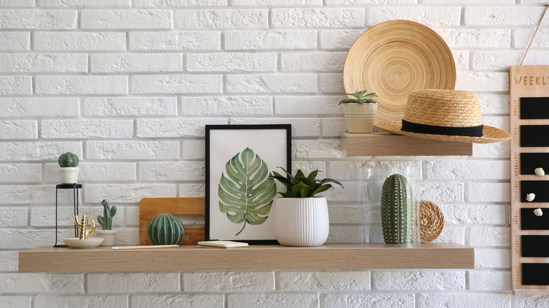shelf with potted plant decor