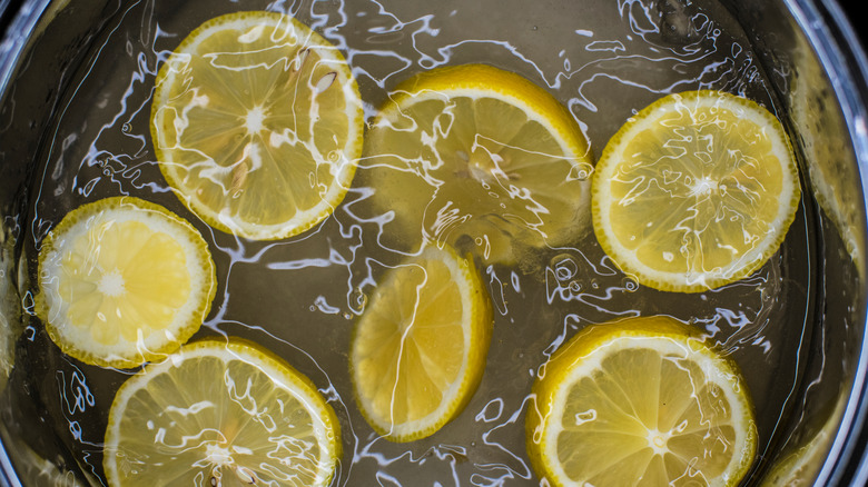 citrus simmer pot 