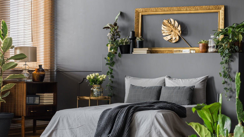 plants and frame above the bed 