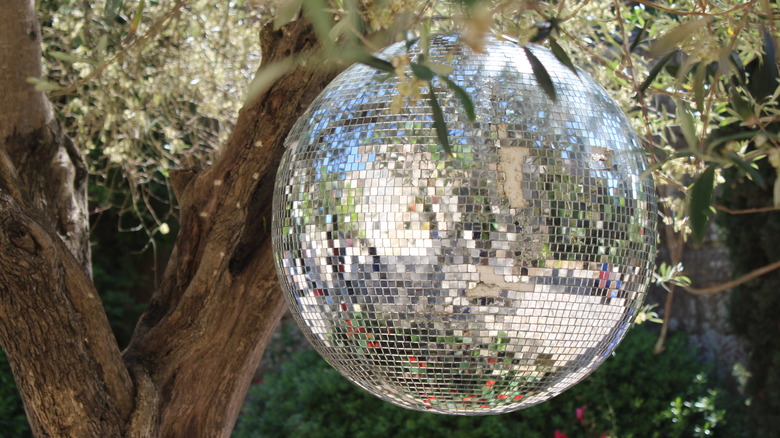 disco ball outside on tree branch