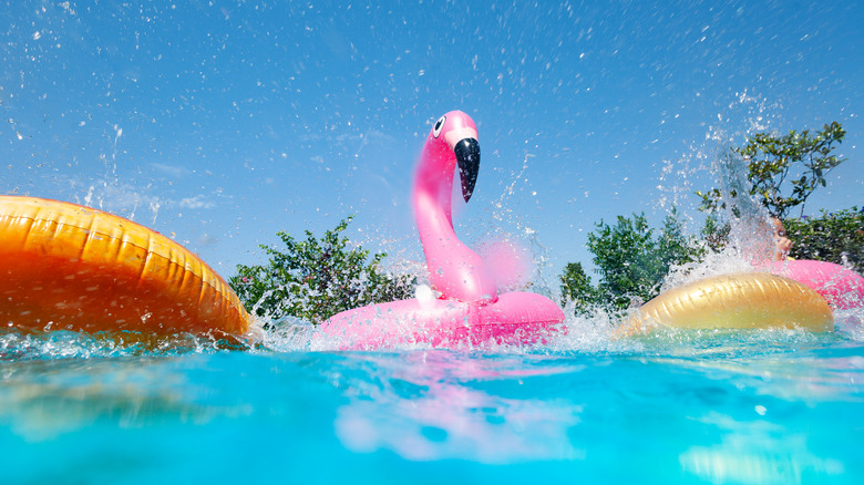 flamingo float in swimming pool