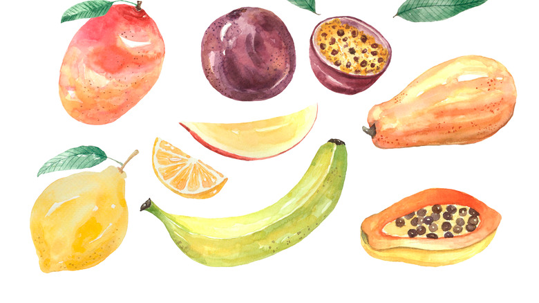 Watercolor fruit painting white background