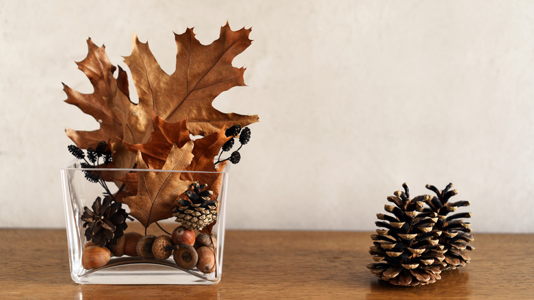 acorns and pinecones on table