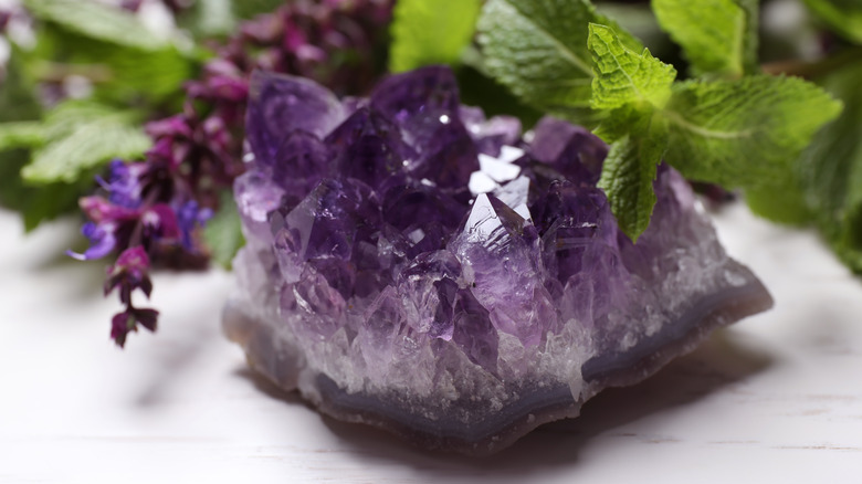 amethyst crystal with leaves