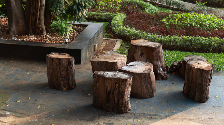 several log stools outside 