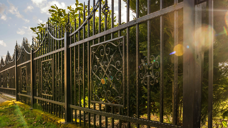 wrought-iron fencing sits in front of bushes