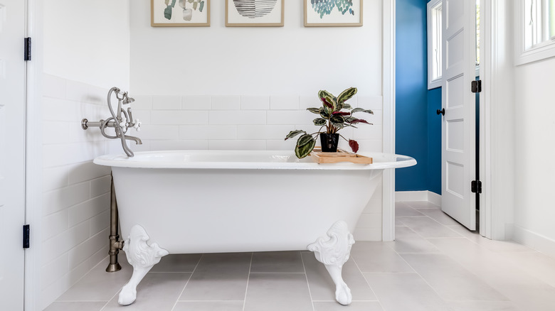 white clawfoot tub with plant 