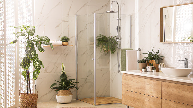 glass shower with green plants 