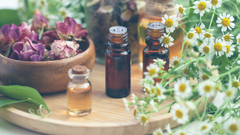 different essential oils and flowers