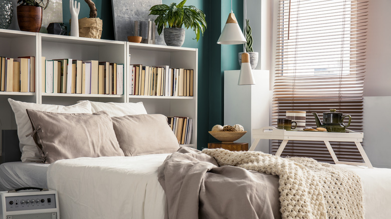 bedroom with bookcases and books