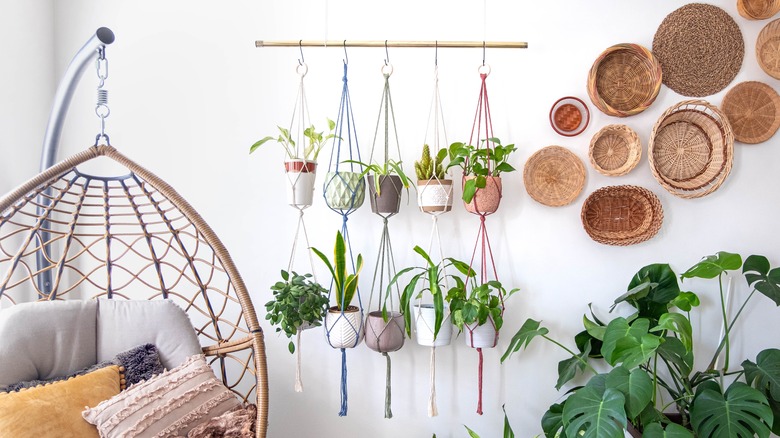 Hanging houseplants and baskets