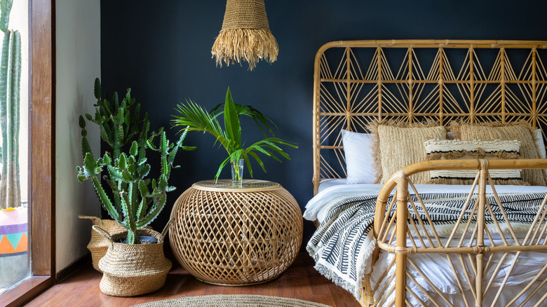 Cactus in blue bedroom