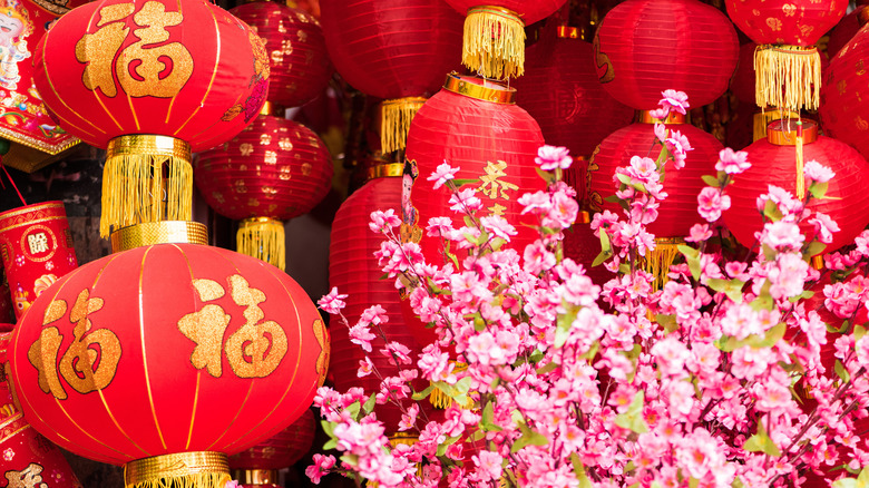 Chinese lanterns and flowers