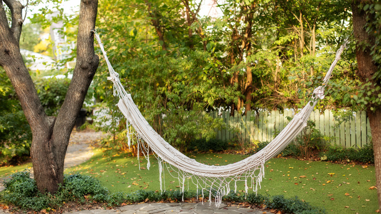 hammock hanging in backyard