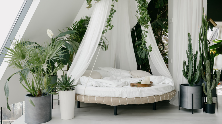 white circle bed with white canopy 