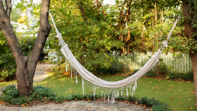 white hammock hanging among trees