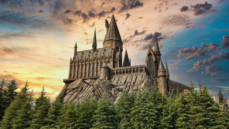 Hogwarts-Inspired Home Decor and Accessories We Love