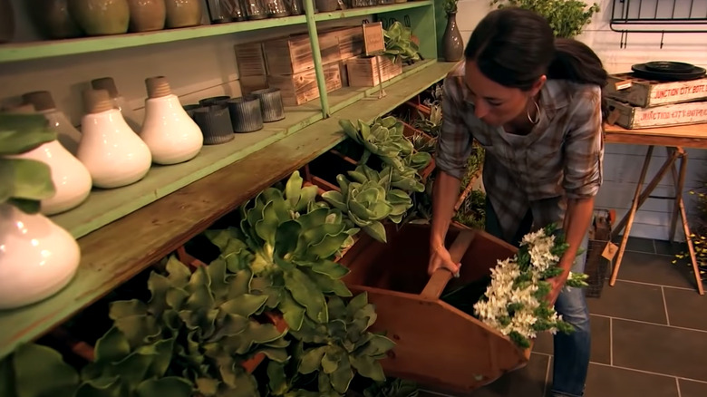 Joanna Gaines with plants