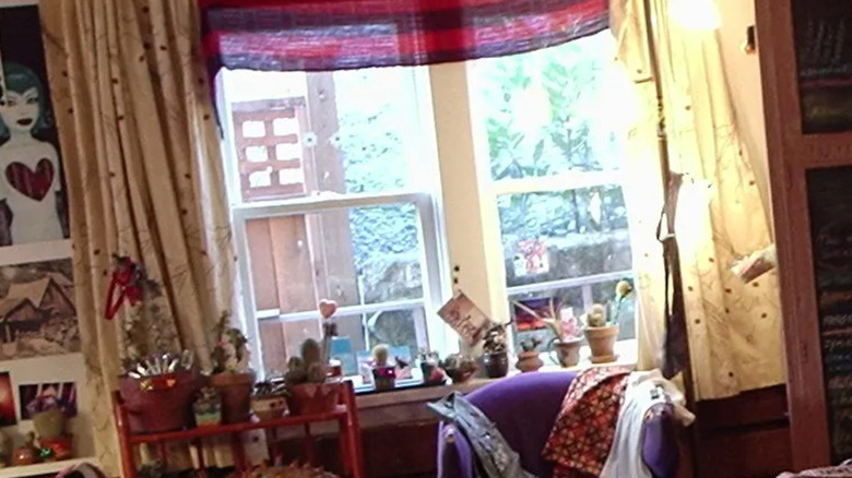 potted plants on window sill