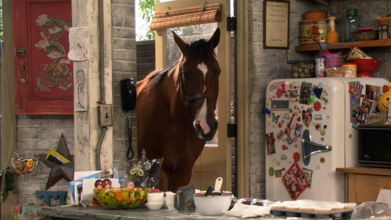 horse in kitchen