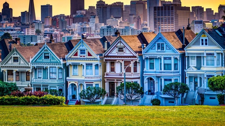 Painted ladies print at sunset